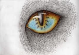 Sin Nombre