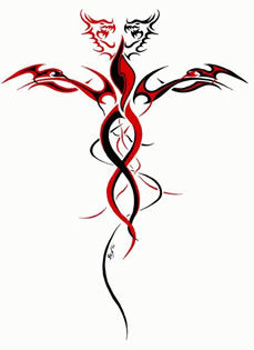 Sin Nombre