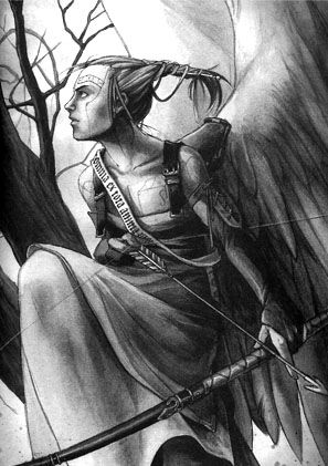 Sin Nombre